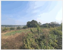  2025Ÿ��503624 ���� ������ ��굿 115-9       ����(��1)���