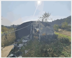  2025Ÿ��503624 ���� ������ ��굿 115-9       ����(��1)���