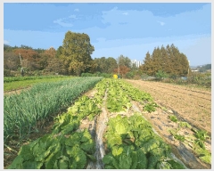  2025Ÿ��503624 ���� ������ ��굿 115-9       ����(��1)���