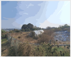  2025Ÿ��503624 ���� ������ ��굿 115-9       ����(��1)���