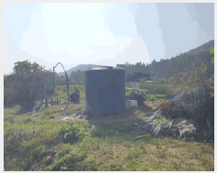  2025Ÿ��503624 ���� ������ ��굿 115-9       ����(��1)���