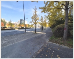  2025Ÿ��503661  ����Ʈ���