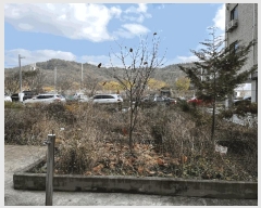  2025Ÿ��503837 ���� ���� ���ȵ� 1947       �ܵ�����,�����ð��