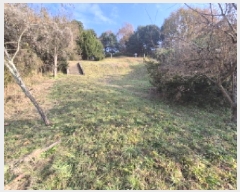  2025Ÿ��503851 ����Ư����ġ�� �ΰ��� ���긮 320-2       ����(��)���