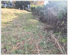  2025Ÿ��503851 ����Ư����ġ�� �ΰ��� ���긮 320-2       ����(��)���