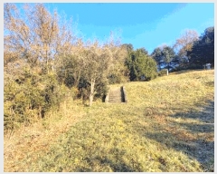  2025Ÿ��503851 ����Ư����ġ�� �ΰ��� ���긮 320-2       ����(��)���