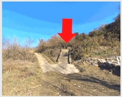  2025Ÿ��503851 ����Ư����ġ�� �ΰ��� ���긮 320-2       ����(��)���