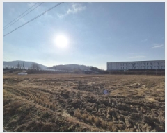  2025Ÿ��503851 ����Ư����ġ�� �ΰ��� ���긮 320-2       ����(��)���