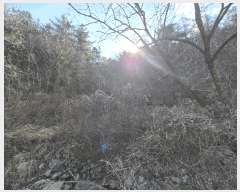  2025Ÿ��503864 ���� ���� �ﱫ�� 25       ����(��1)���