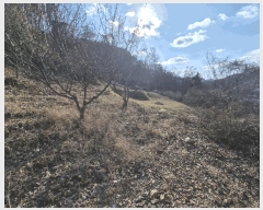  2025Ÿ��503864 ���� ���� �ﱫ�� 25       ����(��1)���