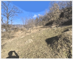  2025Ÿ��503864 ���� ���� �ﱫ�� 25       ����(��1)���