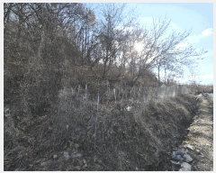  2025Ÿ��503864 ���� ���� �ﱫ�� 25       ����(��1)���