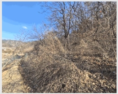  2025Ÿ��503864 ���� ���� �ﱫ�� 25       ����(��1)���