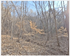  2025Ÿ��503864 ���� ���� �ﱫ�� 25       ����(��1)���