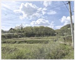  2025Ÿ��2729 �泲 �ݻ걺 ������ ��� 759-1      ����(�Ӿ�)���