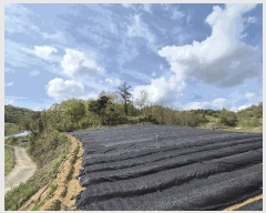  2025Ÿ��2729 �泲 �ݻ걺 ������ ��� 759-1      ����(�Ӿ�)���