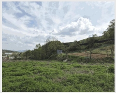  2025Ÿ��2729 �泲 �ݻ걺 ������ ��� 759-1      ����(�Ӿ�)���