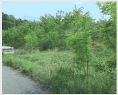  2025Ÿ��3395 ����Ư����ġ�� ������ ���Ǹ� 337-26       ����(�Ӿ�)���