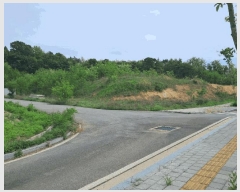  2025Ÿ��3395 ����Ư����ġ�� ������ ���Ǹ� 337-26       ����(�Ӿ�)���