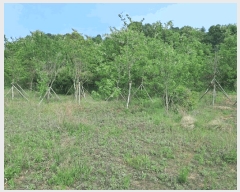  2025Ÿ��3395 ����Ư����ġ�� ������ ���Ǹ� 337-26       ����(�Ӿ�)���