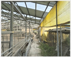  2025Ÿ3504 泲 ݻ걺 θ  588      (󰡽ü)