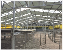  2025Ÿ3504 泲 ݻ걺 θ  588      (󰡽ü)