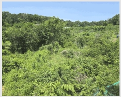  2025Ÿ��3589  ���������