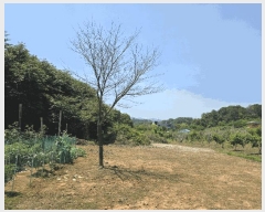  2025Ÿ��3589  ���������