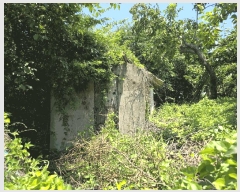  2025Ÿ��3589  ���������