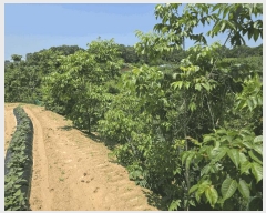  2025Ÿ��3589  ���������