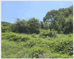  2025Ÿ��3589  ���������