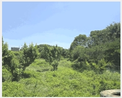  2025Ÿ��3589  ���������