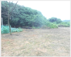  2025Ÿ��3589  ���������