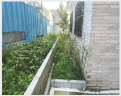  2025Ÿ��3688 ���� ������ ���ϵ� 781-3       �ٰ������ð��