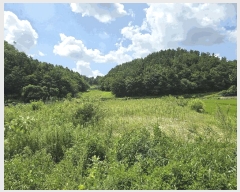  2025Ÿ3718 泲 ݻ걺  õ 915      ()