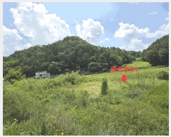  2025Ÿ3718 泲 ݻ걺  õ 915      ()