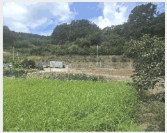  2025Ÿ��3736 ����Ư����ġ�� �ݳ��� ������ 123       ����(����)���