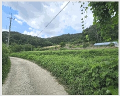  2025Ÿ��3736 ����Ư����ġ�� �ݳ��� ������ 123       ����(����)���