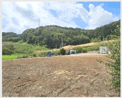  2025Ÿ��3736 ����Ư����ġ�� �ݳ��� ������ 123       ����(����)���