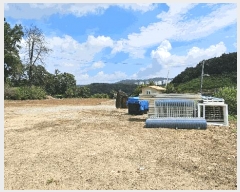  2025Ÿ��3736 ����Ư����ġ�� �ݳ��� ������ 123       ����(����)���