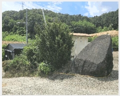  2025Ÿ��3736 ����Ư����ġ�� �ݳ��� ������ 123       ����(����)���