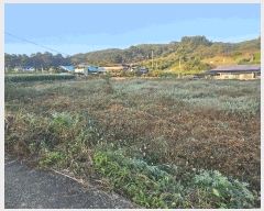  2025Ÿ��3889 ����Ư����ġ�� �ݳ��� ������ 316-8       ����(��)���