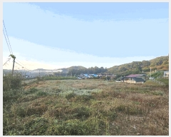  2025Ÿ��3889 ����Ư����ġ�� �ݳ��� ������ 316-8       ����(��)���