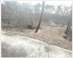  2025Ÿ��4088 ����Ư����ġ�� ������ ������ 172-16       ����(�Ӿ�)���