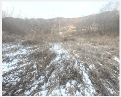  2025Ÿ��4088 ����Ư����ġ�� ������ ������ 172-16       ����(�Ӿ�)���