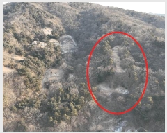  2025Ÿ��4088 ����Ư����ġ�� ������ ������ 172-16       ����(�Ӿ�)���