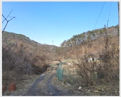  2025Ÿ500605   ô 36       ð