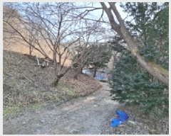  2025Ÿ500605   ô 36       ð