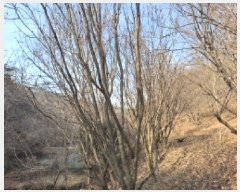  2025Ÿ500605   ô 36       ð