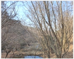  2025Ÿ500605   ô 36       ð